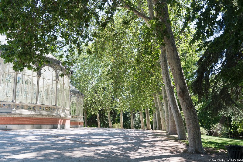 20160607_161456 D4S.jpg - Parque de Retiro, Madrid.